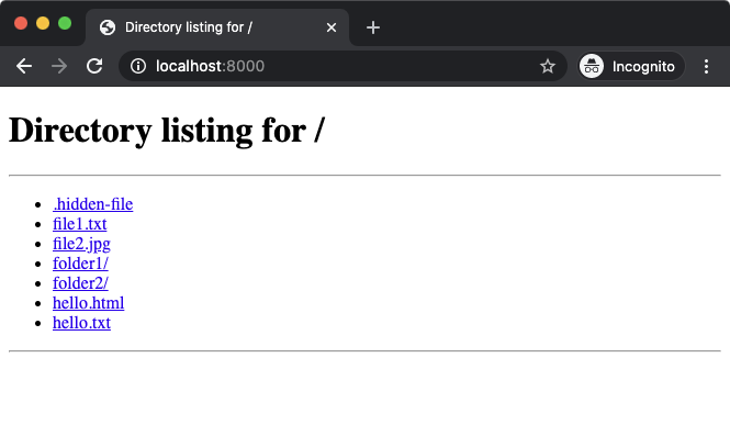 Directory listing in the web browser