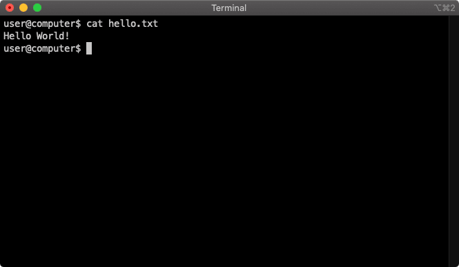 terminal cat command